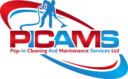 Picams Logo